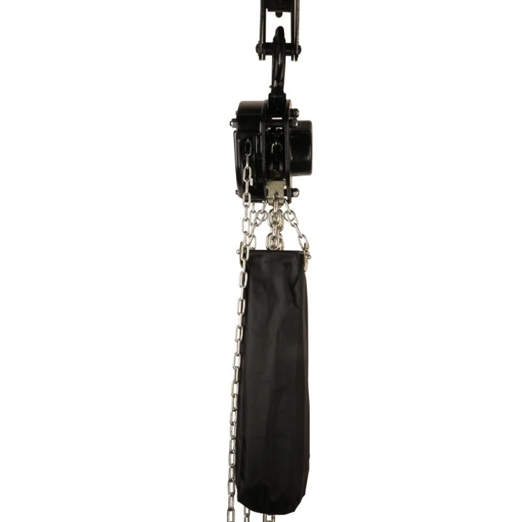 Power Free Manual Chain Hoist best Power Free Manual Chain Hoist best
